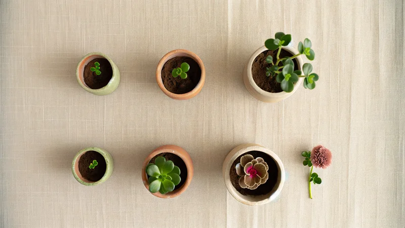 鏡の前で肌荒れを気にしながら顔を見ている女性。ホルモンバランスの乱れが肌に出るイメージ